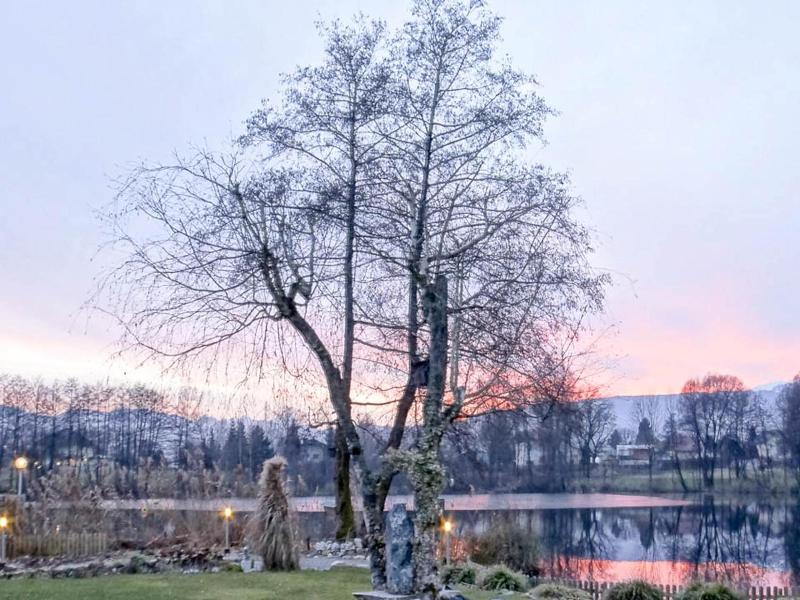 Seestuben image