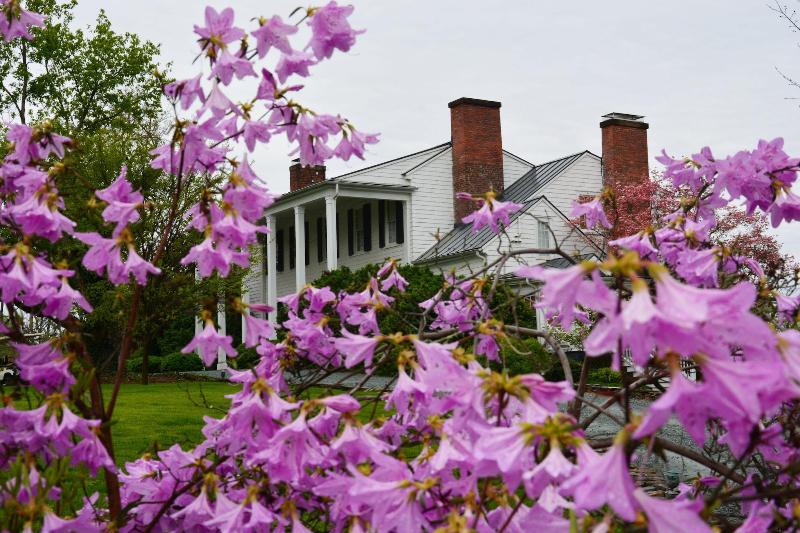 Clifton Inn 4