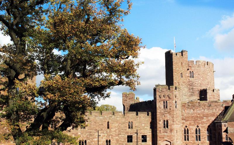 Peckforton Castle image