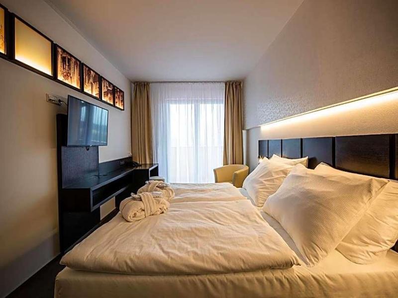 Wellness Hotel Frymburk image