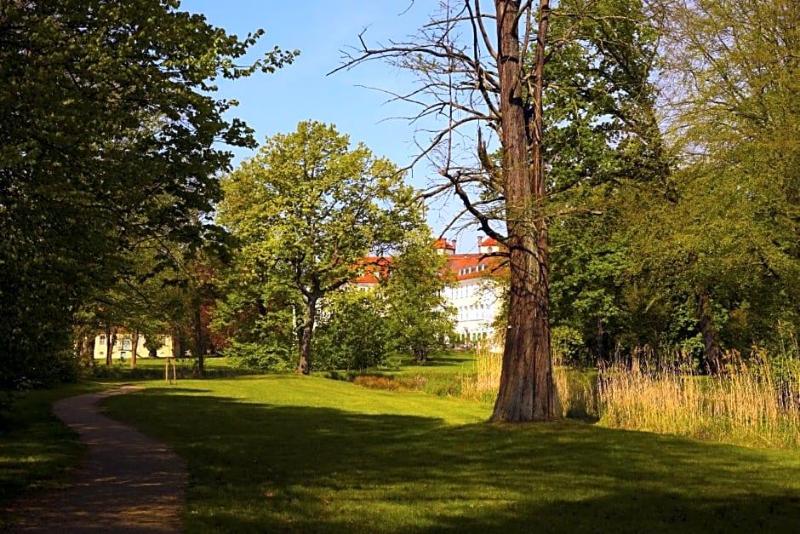 Schloss Lübbenau image