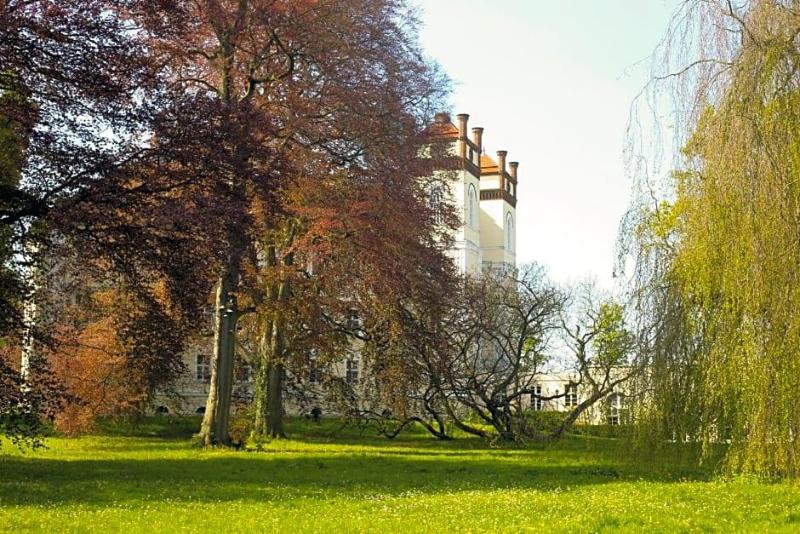 Schloss Lübbenau image