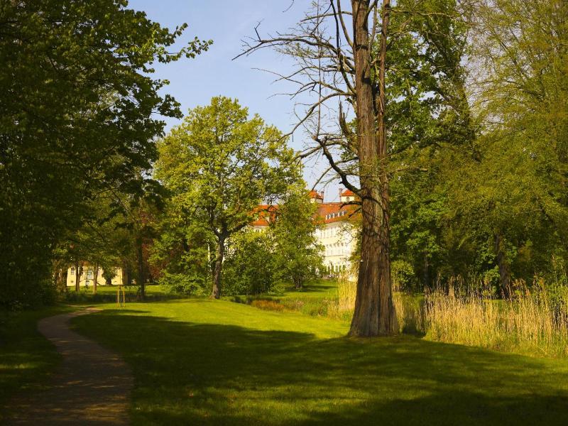 Schloss Lübbenau image
