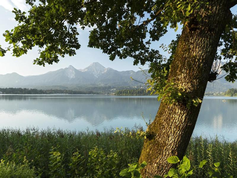 Wellness- und Geniesserhotel Karnerhof image