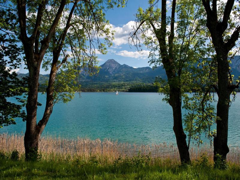 Wellness- und Geniesserhotel Karnerhof image