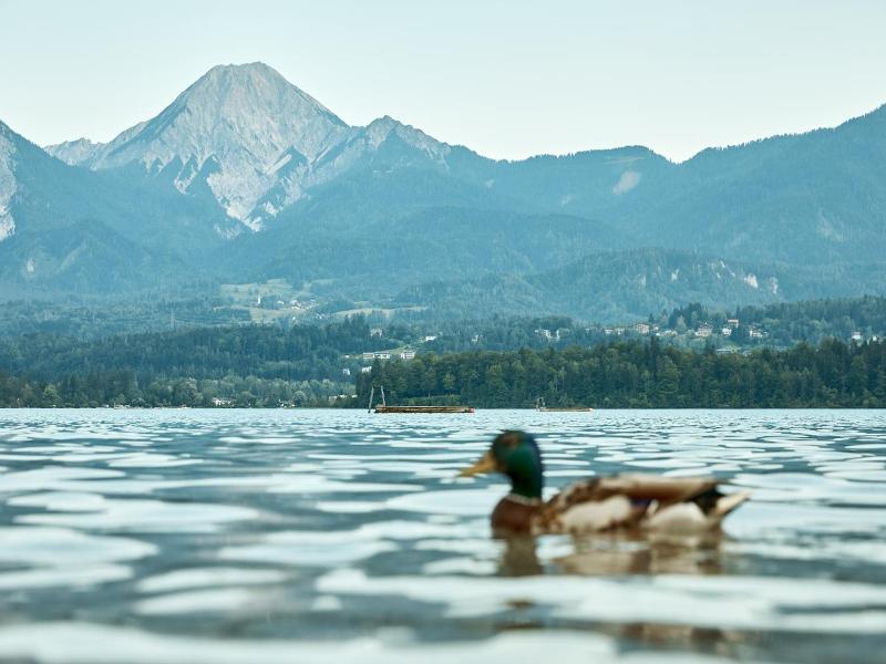 Wellness- und Geniesserhotel Karnerhof image