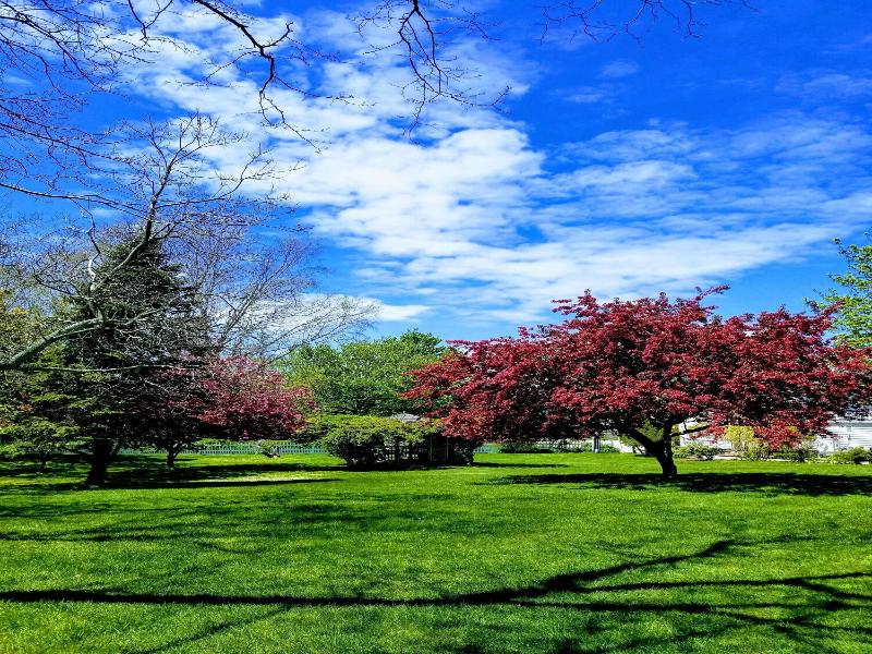 The Whalewalk Inn & Spa image
