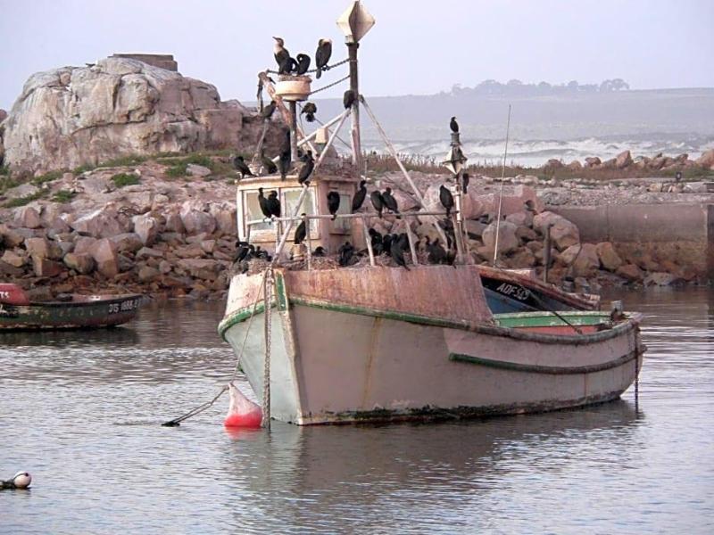 Lamberts Bay Hotel image