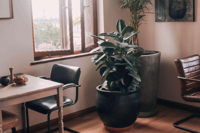 Sonnekus Guest House image