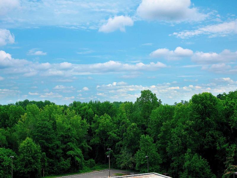 Sheraton Charlotte Airport Hotel image