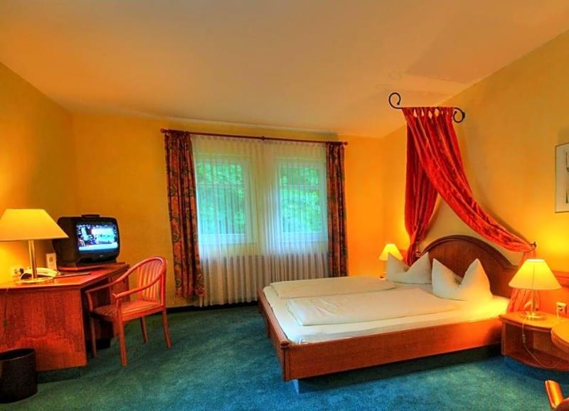 Meister Bär Hotel Vogtland image