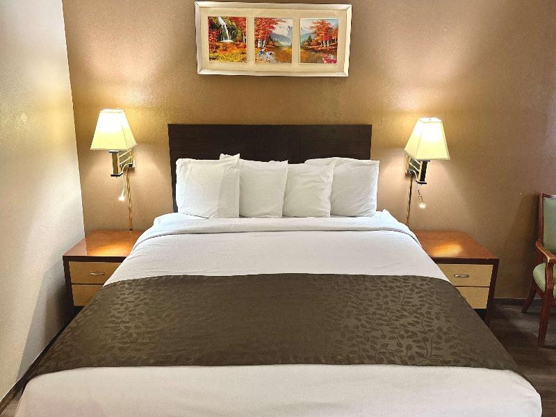 1 King Bed Non-Smoking