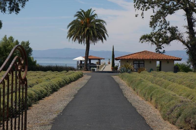 Lakeview Inn image