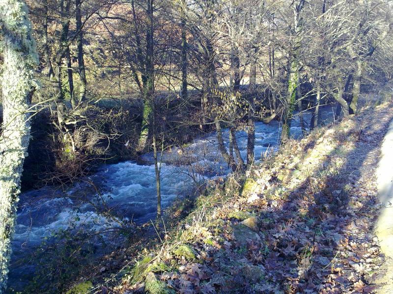 Rural Carlos I image
