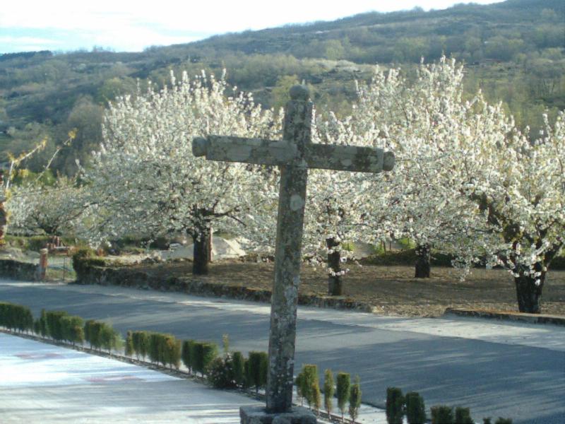 Rural Carlos I image