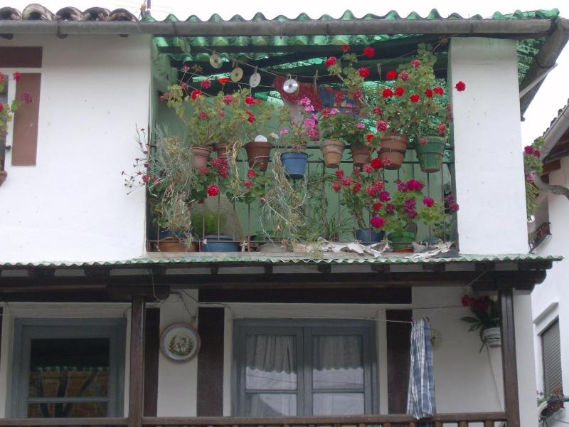 Rural Carlos I image