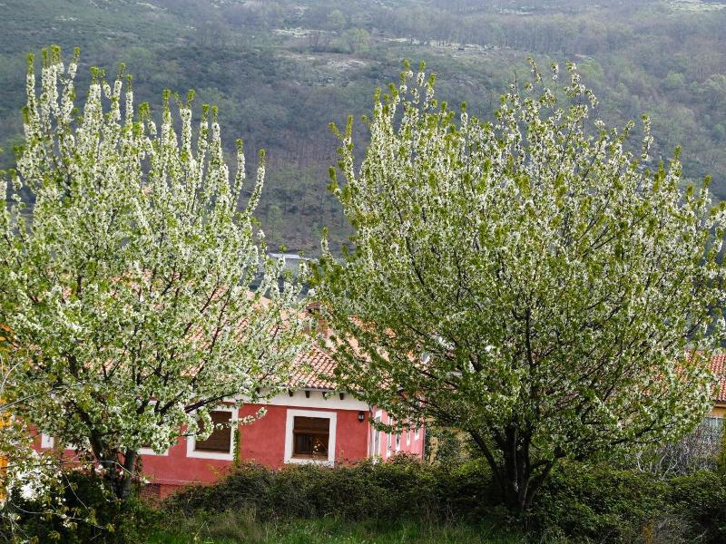Rural Carlos I image