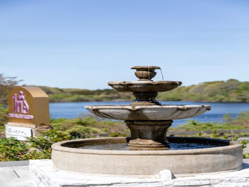 Iris Hotel-Cape Cod- Falmouth — general view