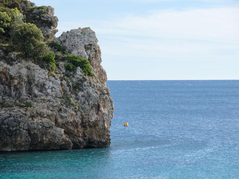 Apollon image