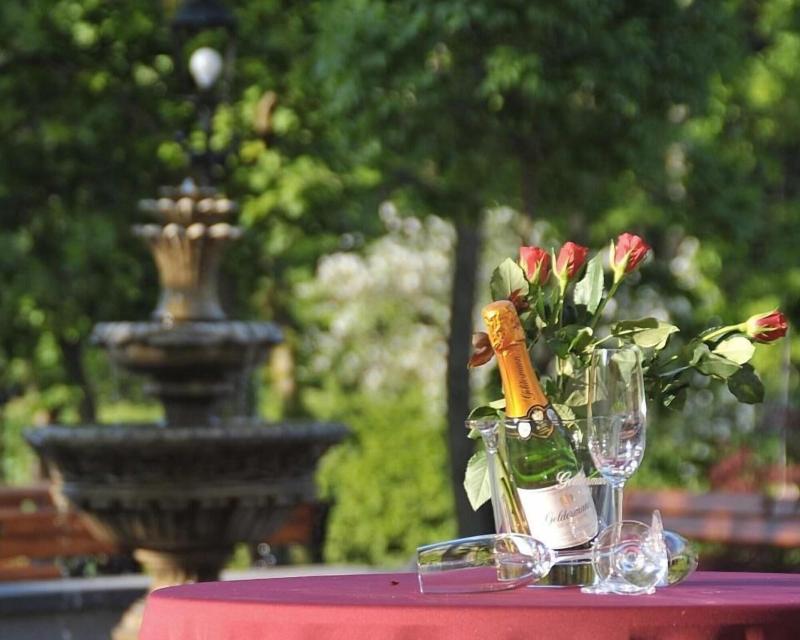 Waldhotel Rheinbach image