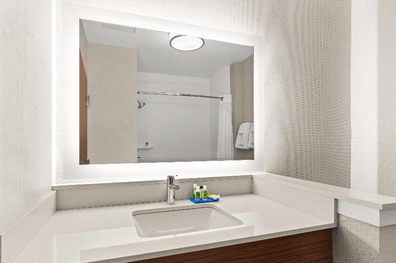 Holiday Inn Express Willows image