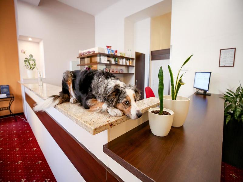 Best Western Hotel Tabor