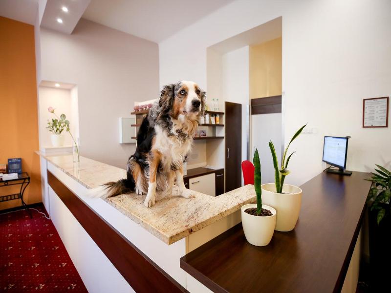 Best Western Hotel Tabor