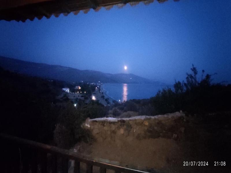 Marvina image