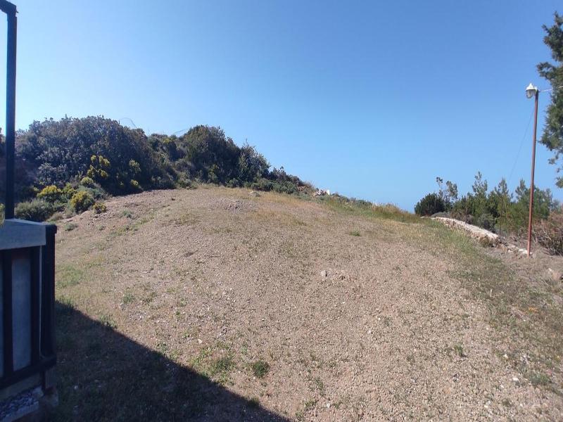 Marvina image