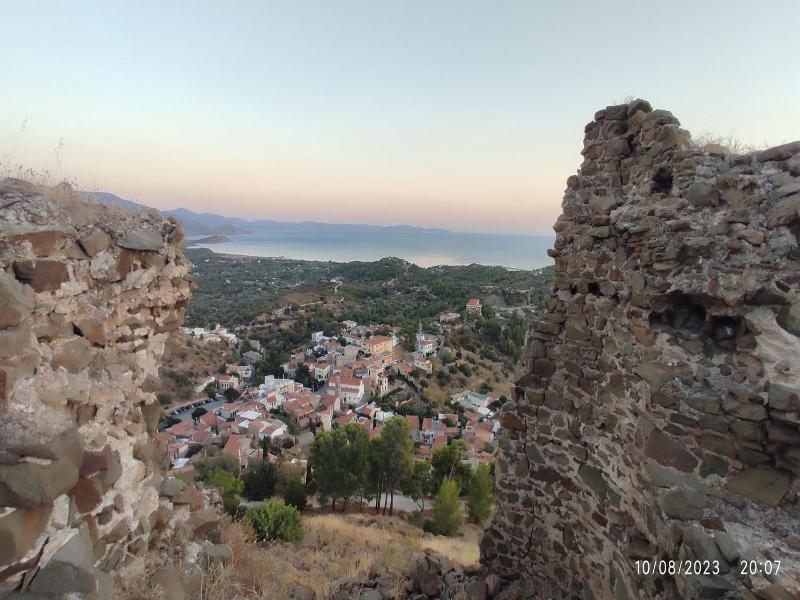 Marvina image