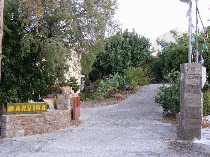 Marvina image