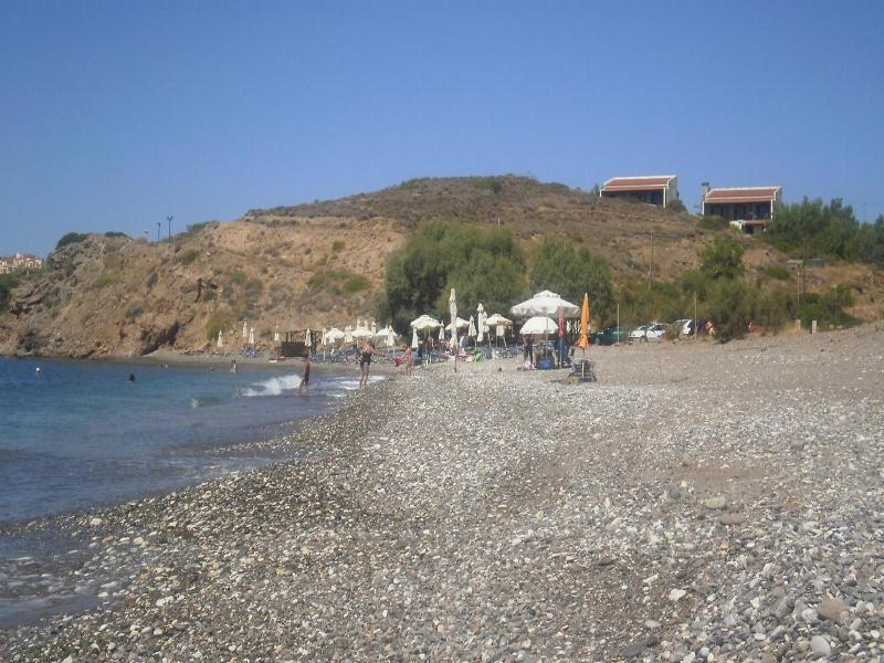Marvina image