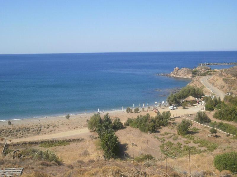 Marvina image
