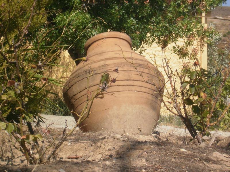 Marvina image