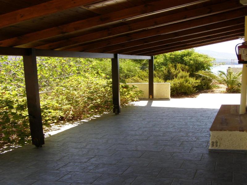 Marvina image