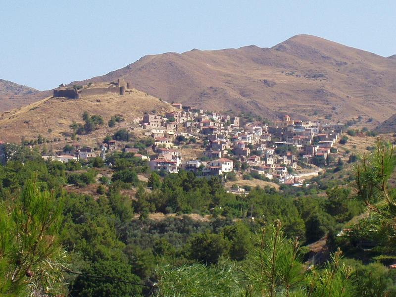 Marvina image