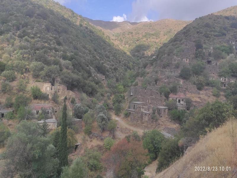 Marvina image