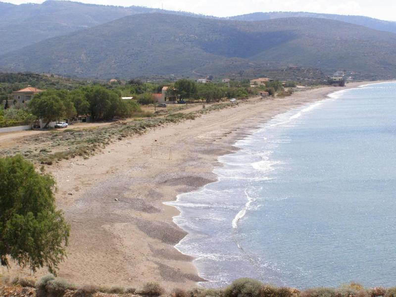 Marvina image