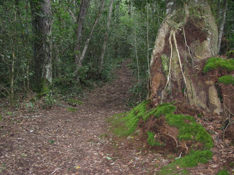 Pumula Lodge