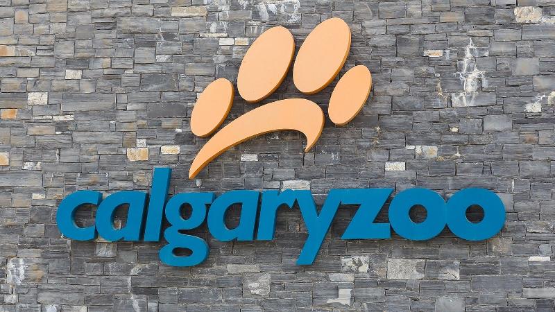 Staybridge Suites Calgary Airport Staybridge Suites Calgary Airport