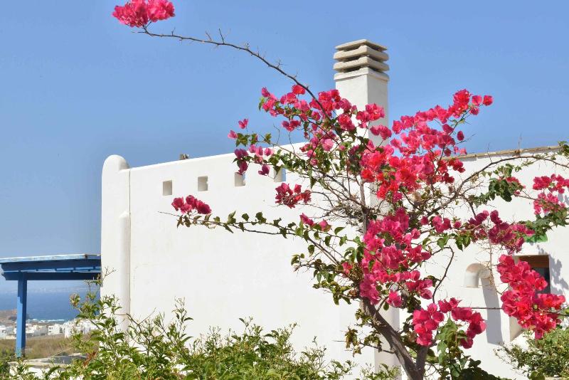 Paradisia Villas image