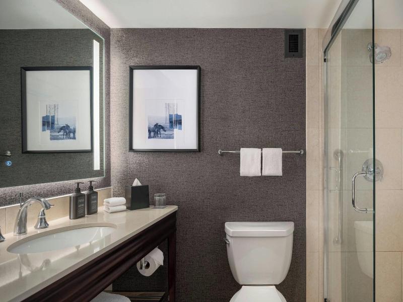Sheraton Cavalier Calgary image