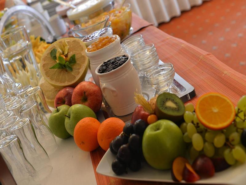 Hotel Podhrad image