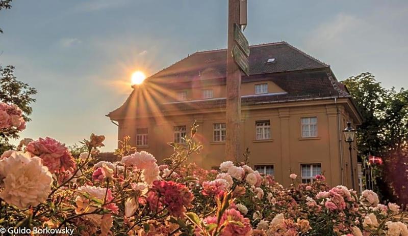 Parkhotel Pretzsch image