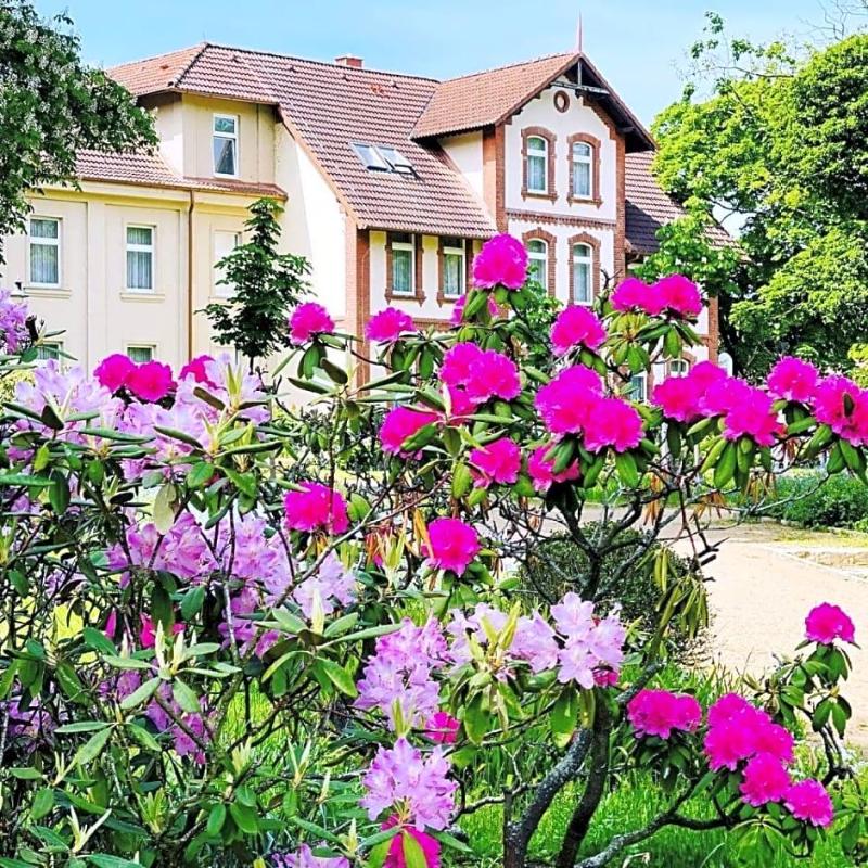 Parkhotel Pretzsch image