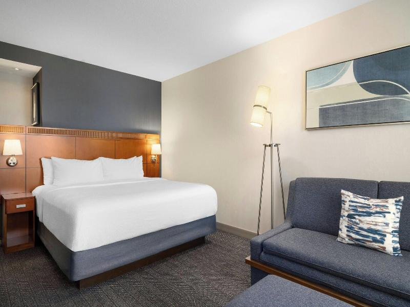 Room, 1 King Bed with Sofa bed (1 King Bed and 1 Double Sofa Bed)