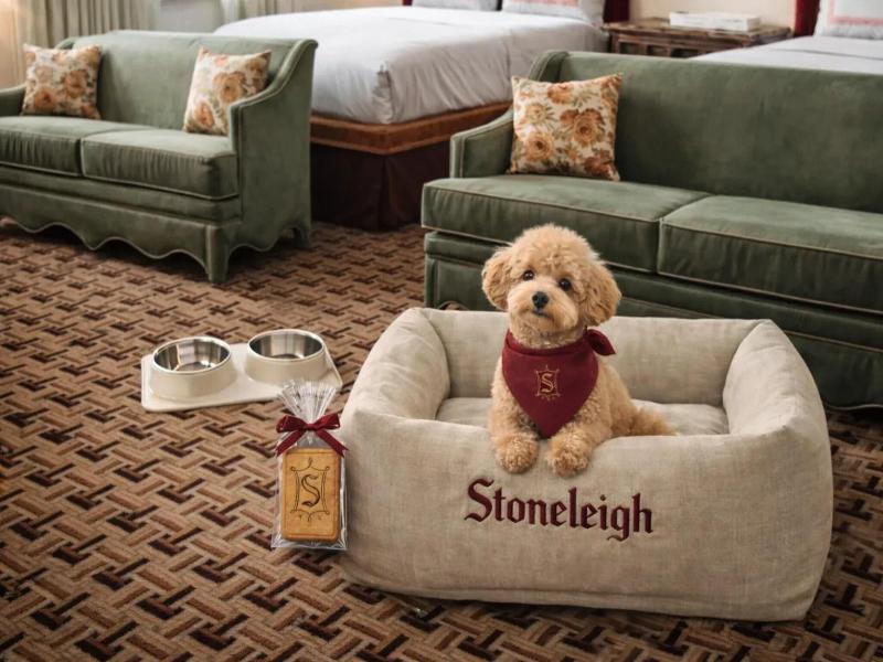 The Stoneleigh, Autograph Collection image