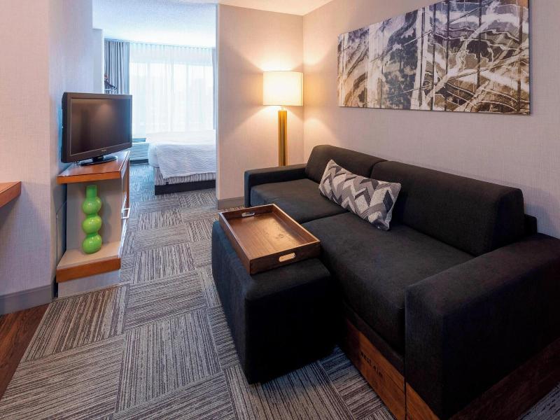 Springhill Suites Rochester Mayo Clinic Area/St. M image
