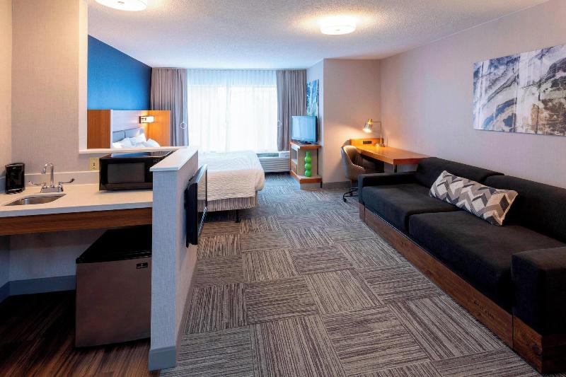 Springhill Suites Rochester Mayo Clinic Area/St. M image