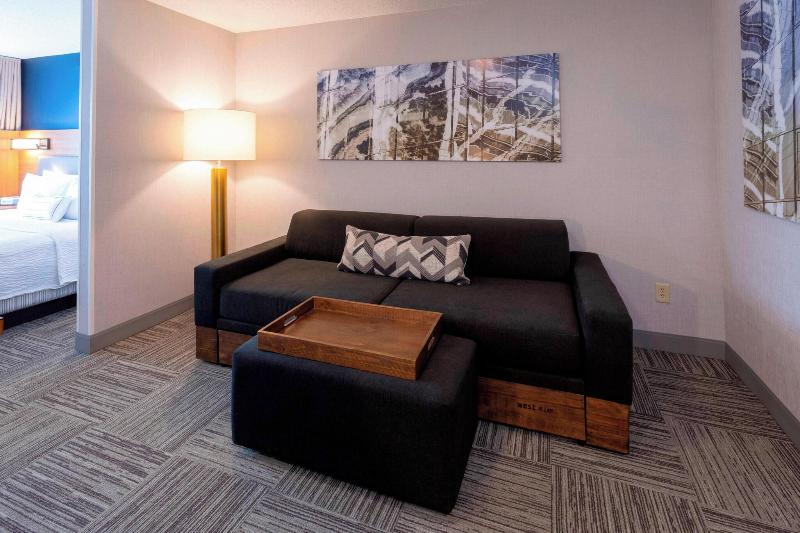 Springhill Suites Rochester Mayo Clinic Area/St. M image